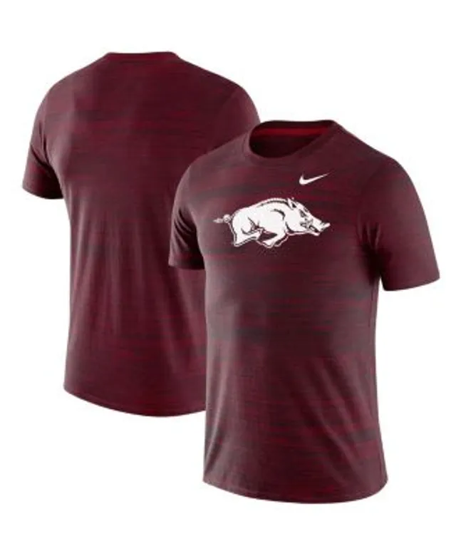 Men's Nike Cardinal Stanford Cardinal Baseball Legend Performance T-Shirt