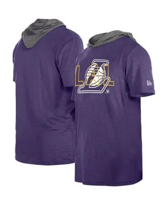 Los Angeles Lakers Mitchell & Ness Color Blocked Long Sleeve Hoodie T-Shirt  - Heathered Gray/Purple