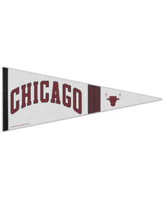 Seattle Mariners WinCraft 13 x 32 Slogan Pennant