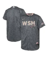 Youth Washington Nationals Nike Gray 2022 City Connect Replica Jersey