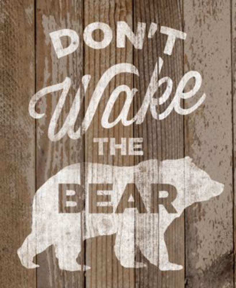Don'T Wake The Bear On Wood Pattern 20" X 24" Canvas Wall Art Print