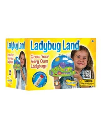 STEM Educational Ladybug Life Cycle Growing Kit