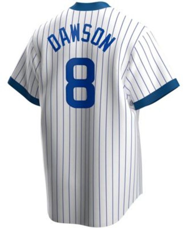 Andre Dawson Chicago Cubs Mitchell & Ness Cooperstown Collection Mesh  Batting Practice Jersey - Royal