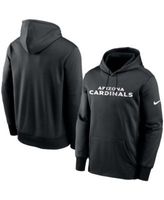 Nike Baltimore Ravens Fan Gear Wordmark Performance Pullover