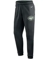 Nike Black Minnesota Vikings Sideline Logo Performance Pants