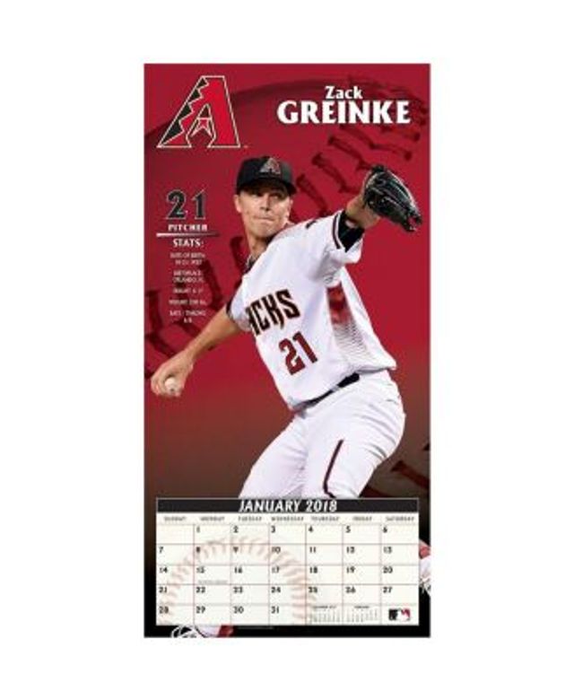 2022 Tampa Bay Rays 12x12 Team Wall Calendar