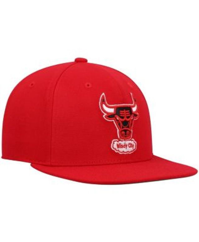 Mitchell & Ness Chicago Bulls Team Ground 2.0 Dad Hardwood Classic