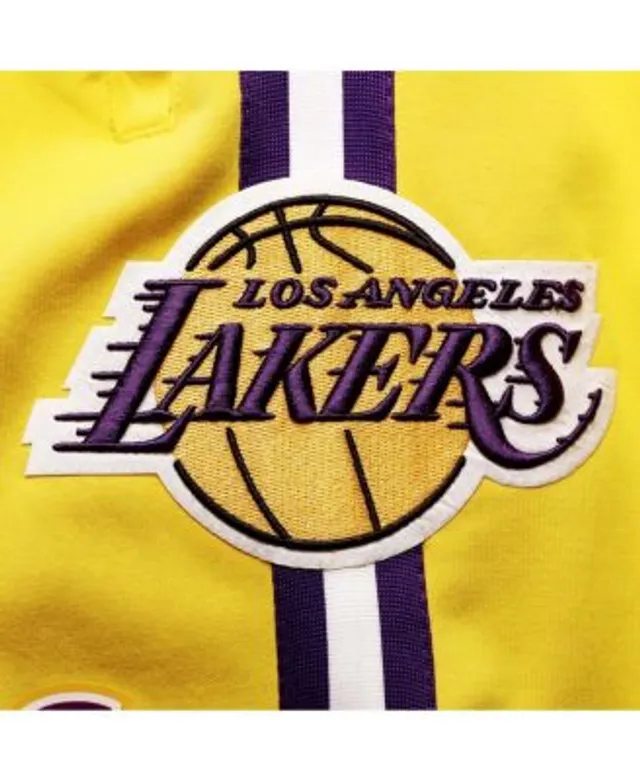 Nike Los Angeles Lakers Youth Hardwood Classic Swingman Jersey - Lebron  James - Macy's