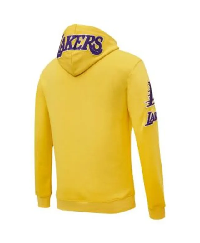 Nike Men's White Los Angeles Lakers 2022/23 City Edition Essential Pullover  Hoodie