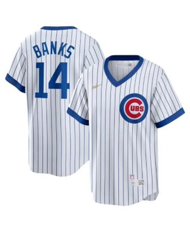 Men's Nike Ernie Banks White Chicago Cubs Home Authentic Retired