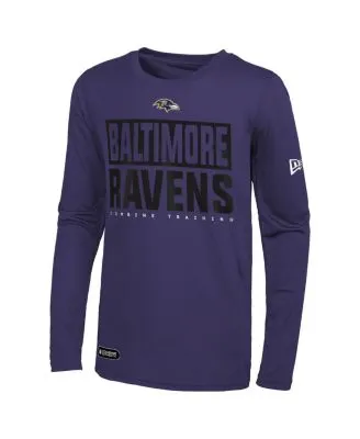 Men's Nike Purple Baltimore Ravens Primary Logo T-Shirt