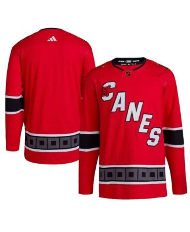 Men's Carolina Hurricanes Andrei Svechnikov Fanatics Branded Red 25th  Anniversary Premier Breakaway Player Jersey