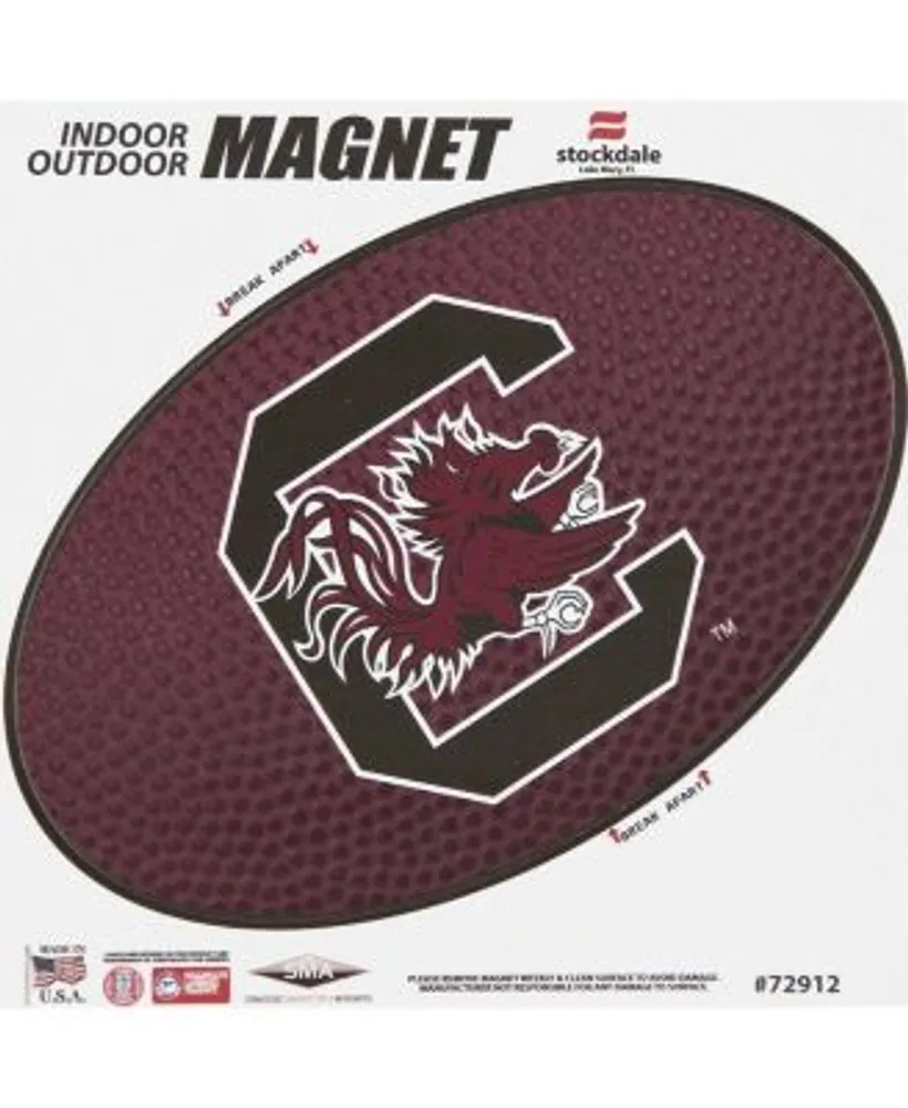 Las Vegas Raiders Teamball 6 x Oval Full Color Magnet