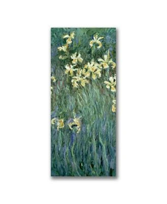 Claude Monet 'The Yellow Irises' Canvas Art