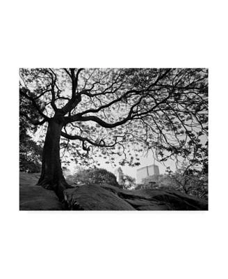 Monte Nagler Central Park New York New York Canvas Art