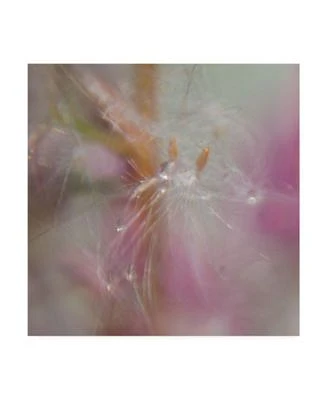 Gillian Hunt Fairy Dance II Canvas Art