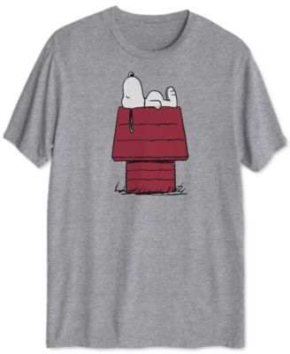 Snoopy Doghouse Men's Graphic T-Shirt