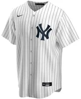 DJ LeMahieu New York Yankees Nike Youth Alternate Replica Player Jersey -  White