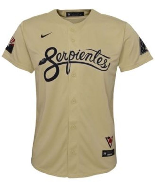 Mookie Betts Los Angeles Dodgers Nike Youth 2021 Gold Program Replica  Player Jersey - White/Gold