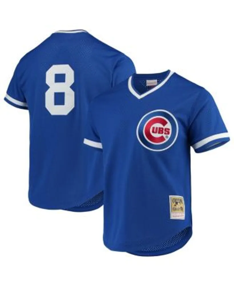 Mitchell & Ness Men's Andre Dawson Royal Chicago Cubs Cooperstown  Collection Mesh Batting Practice Jersey