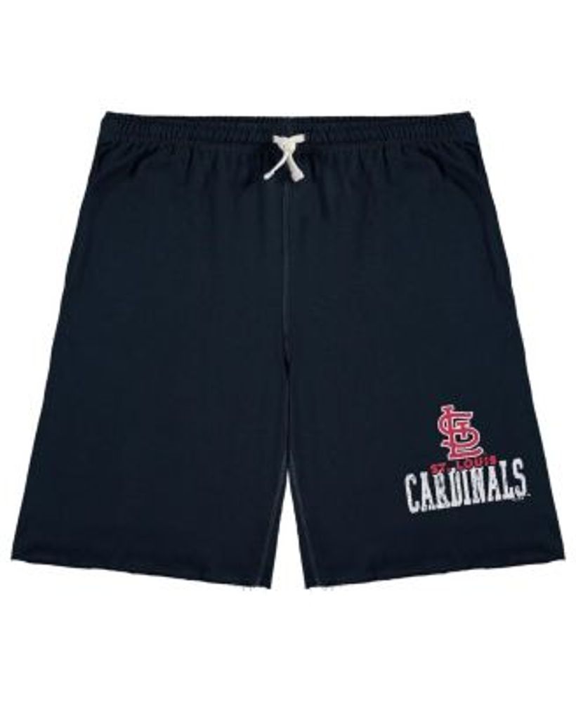 Profile Men's Navy St. Louis Cardinals Big and Tall French Terry Shorts