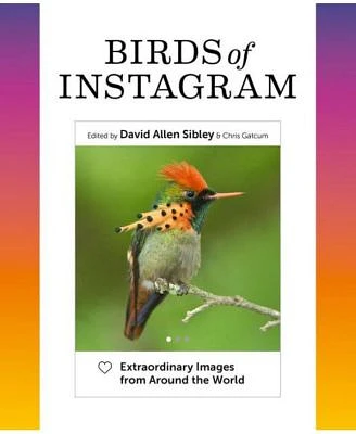 Birds of Instagram: Extraordinary Images from Around the World by David Allen Sibley