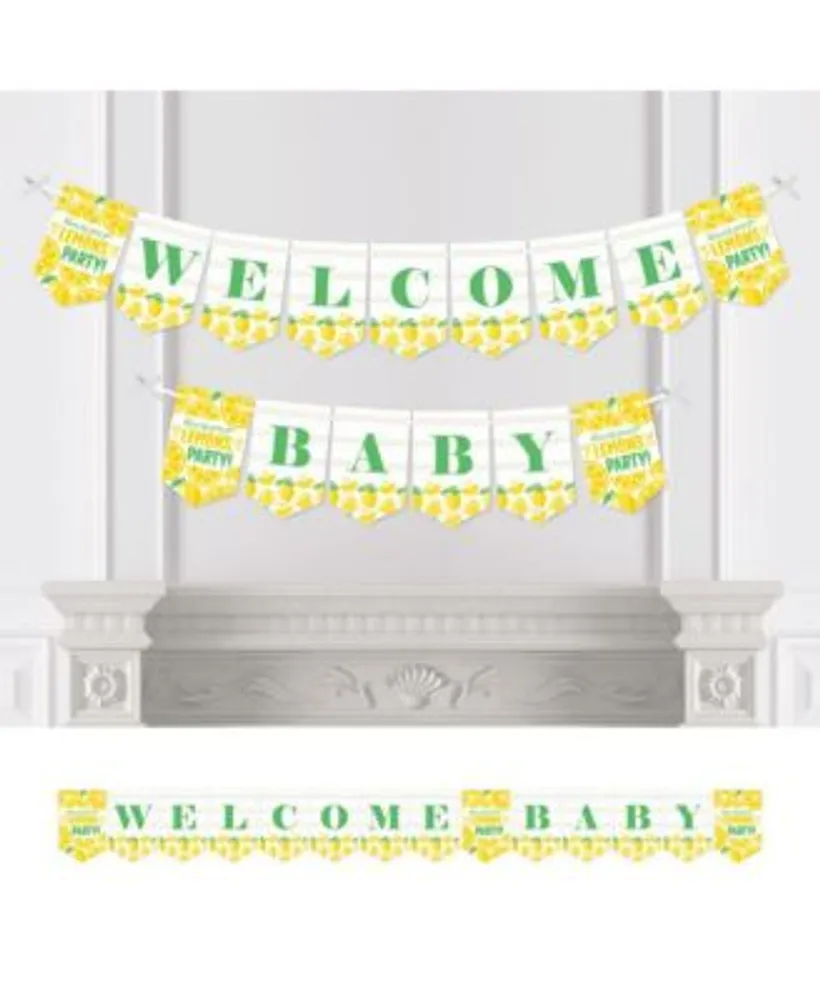 Big Dot of Happiness Honey Bee - Baby Shower Bunting Banner - Party  Decorations - Welcome Baby