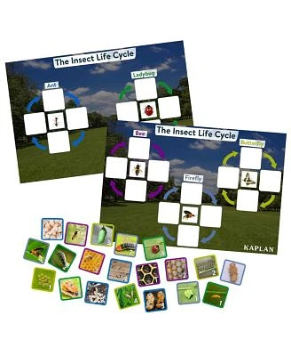 Insect Life Cycle Game - Investigate Bees, Ants, Butterfly and Firefly