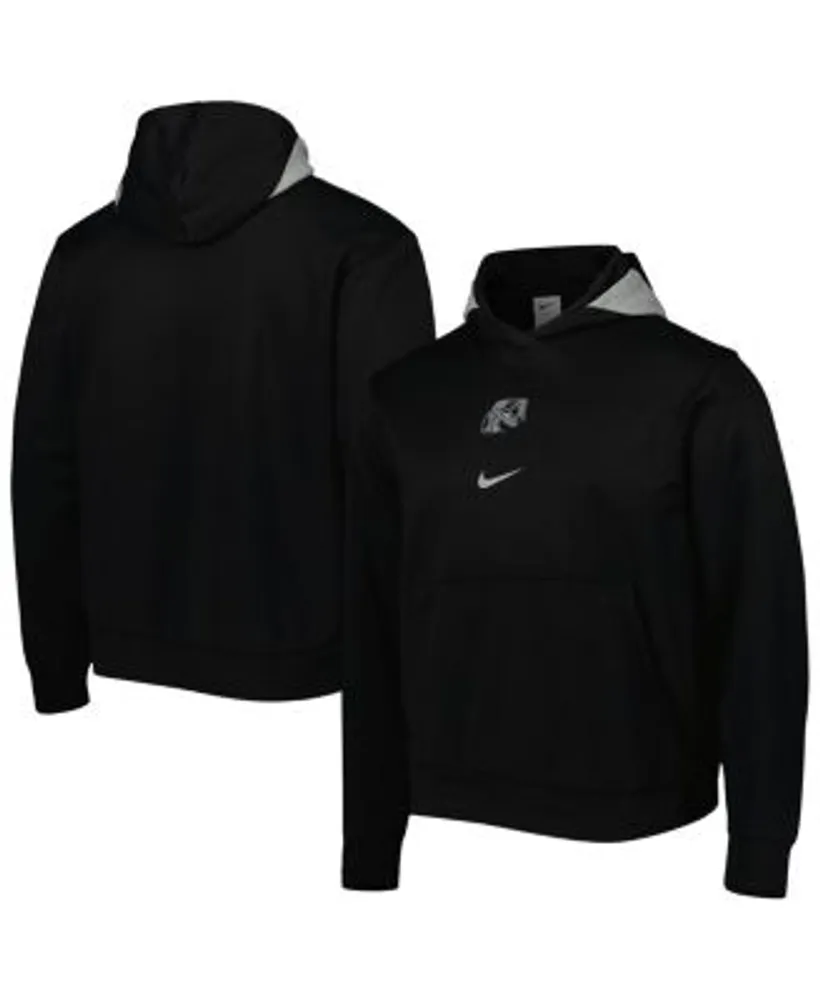 Men's Nike x LeBron James Green Florida A&M Rattlers Performance Pullover  Hoodie