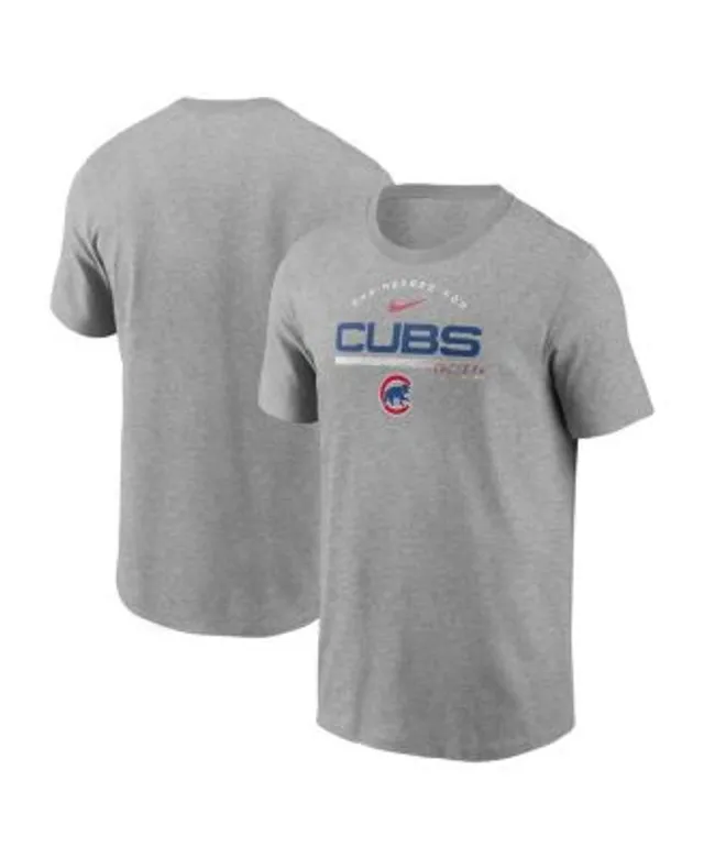 Nike Youth Chicago Cubs Gray Team Engineered T-Shirt