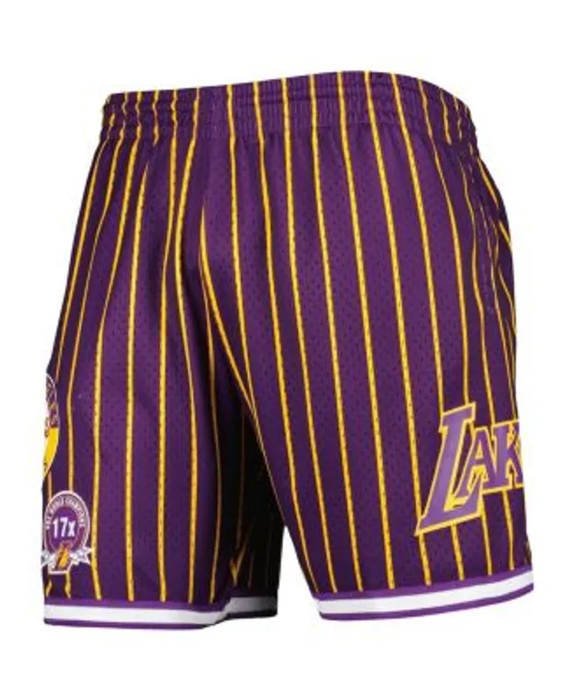 Icer Brands Men Men's Los Angeles Lakers Mesh Shorts in Purple | Size 2XL | GSMC709S-PUR