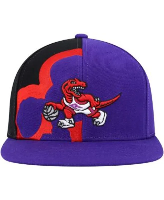 Mitchell & Ness White/Purple Toronto Raptors Hardwood Classics Paintbrush Snapback Hat