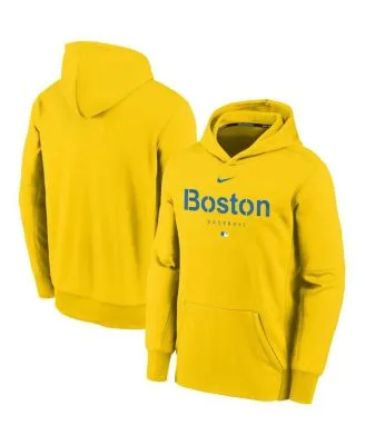 Youth Colorado Rockies Nike Hunter Green City Connect Performance Pullover  Hoodie