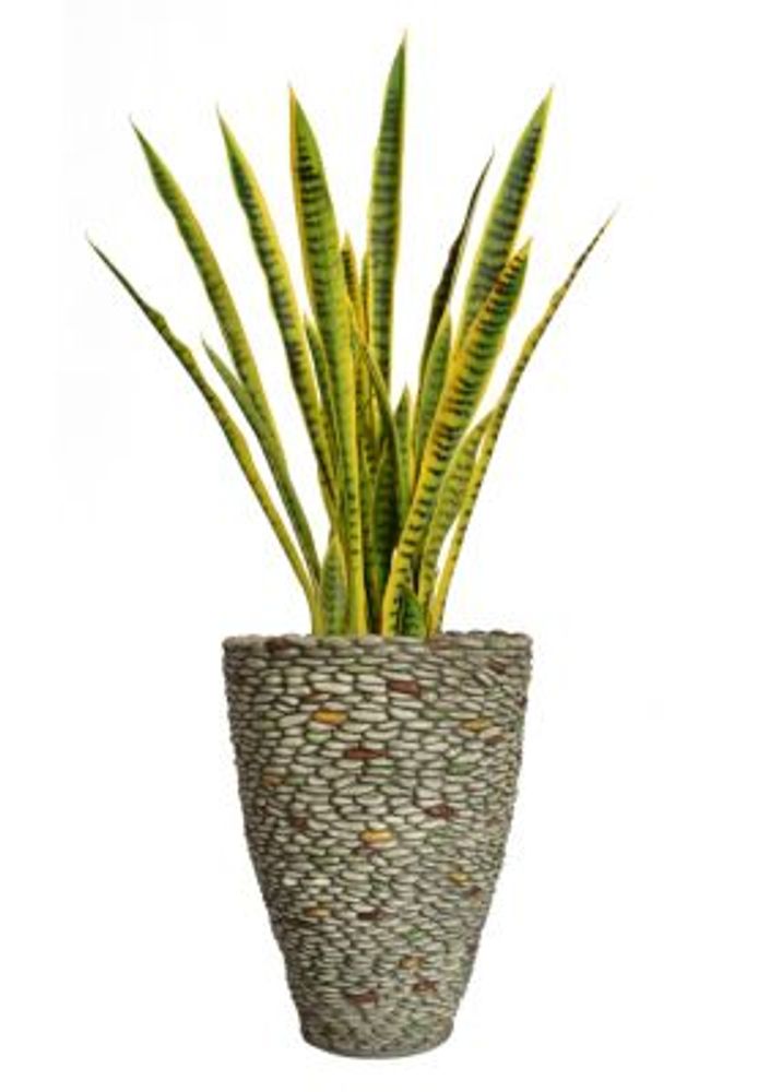 Vintage Home Artificial Faux Real Touch 49 Tall Snake Plant