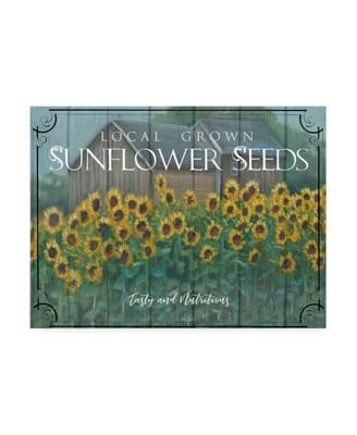 Marnie Bourque Sunflower Seeds Canvas Art