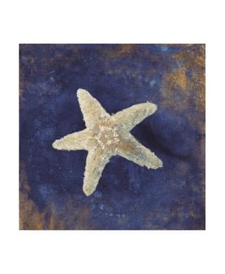 Danhui Nai Treasures from the Sea Indigo IV Canvas Art