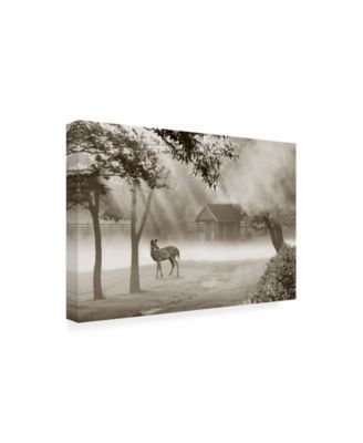 Monte Nagler Deer in Morning Mist Canvas Art