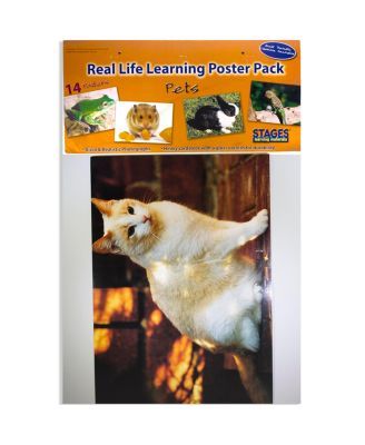 Real Photo Pets Poster Set