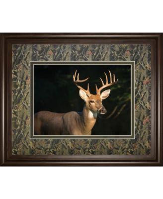 White Tail Buck by Tony Campbell Double Matted Framed Print Wall Art - 34" x 40"