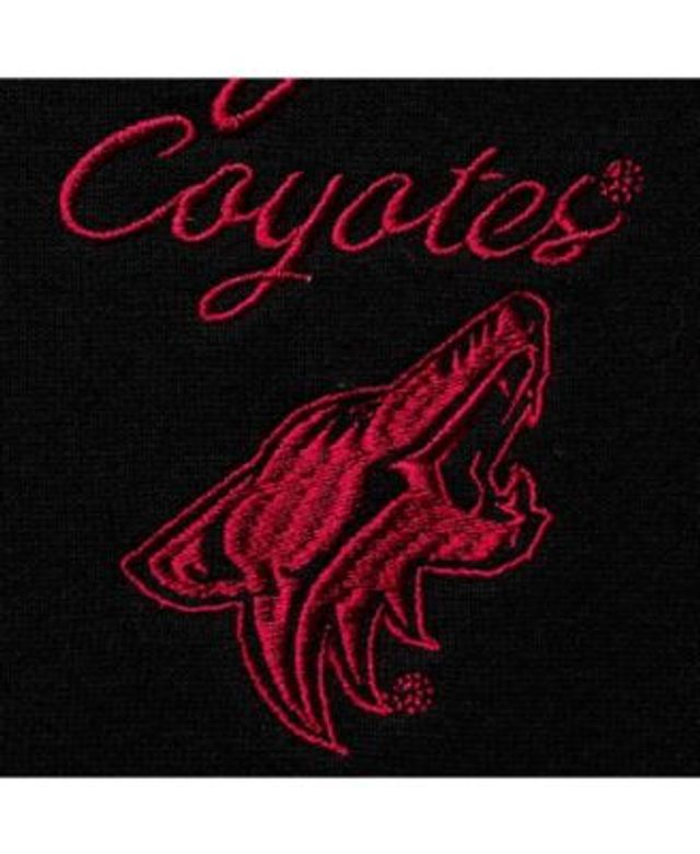Champion Men's Heathered Gray Arizona Coyotes Reverse Weave Pullover Hoodie  - Macy's