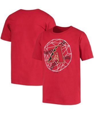 Men's Nike Heathered Gray St. Louis Cardinals Tri-Blend DNA Performance T- Shirt