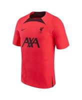 Liverpool Nike Youth Strike Raglan Jersey - Anthracite