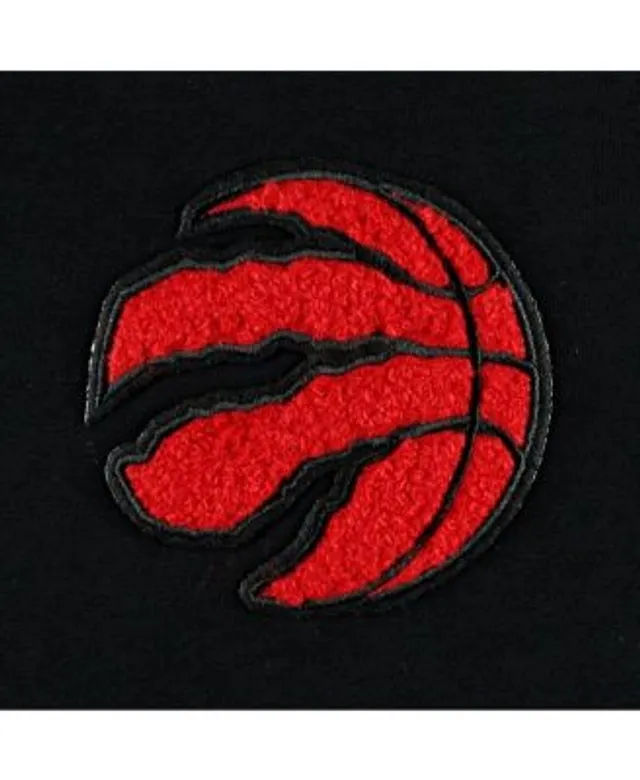 Pro Standard Men's Black Toronto Raptors City Scape T-shirt