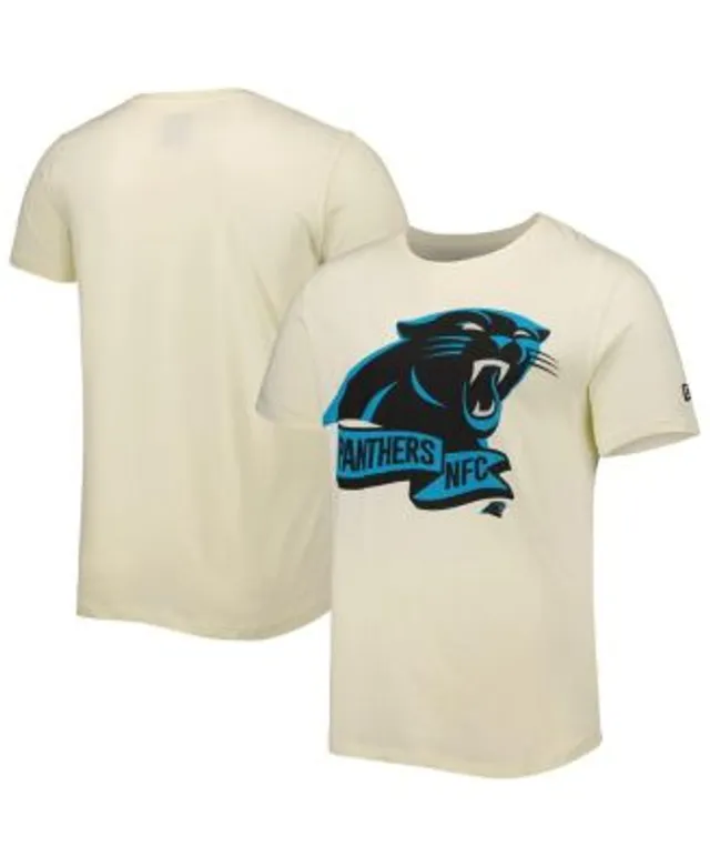 Nike Men's Nike Black Carolina Panthers Essential Panthers Pride T