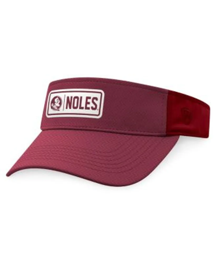 State Visor 