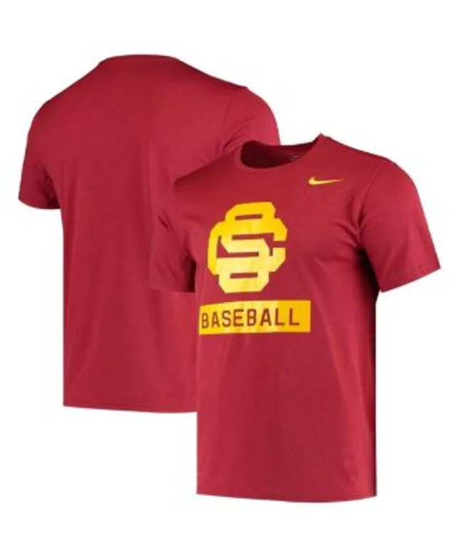 Men's Nike Cardinal USC Trojans Team DNA Legend Performance