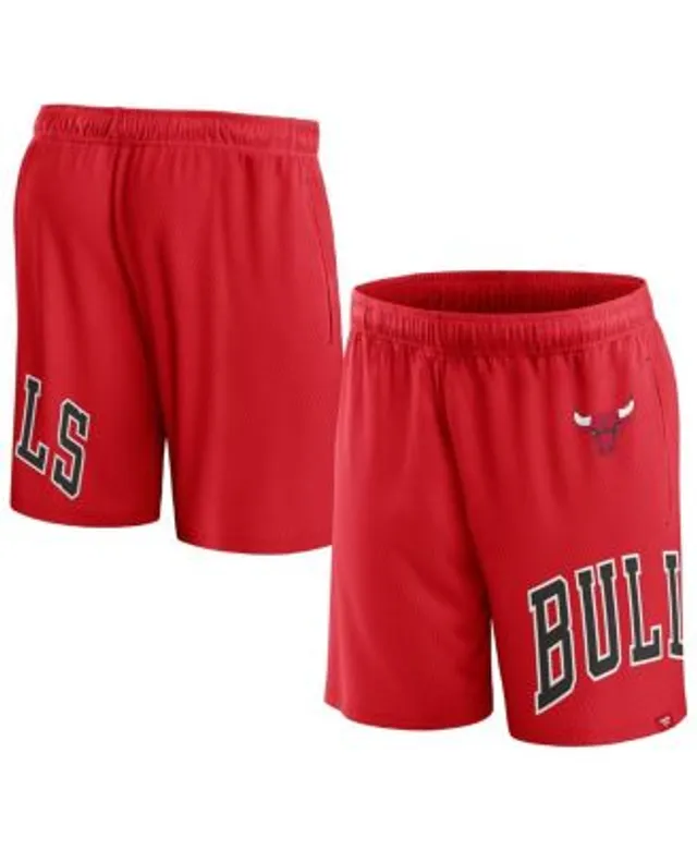 Men's Pro Standard White Chicago Bulls 6X NBA Finals Champions Mesh Capsule Shorts Size: Extra Large