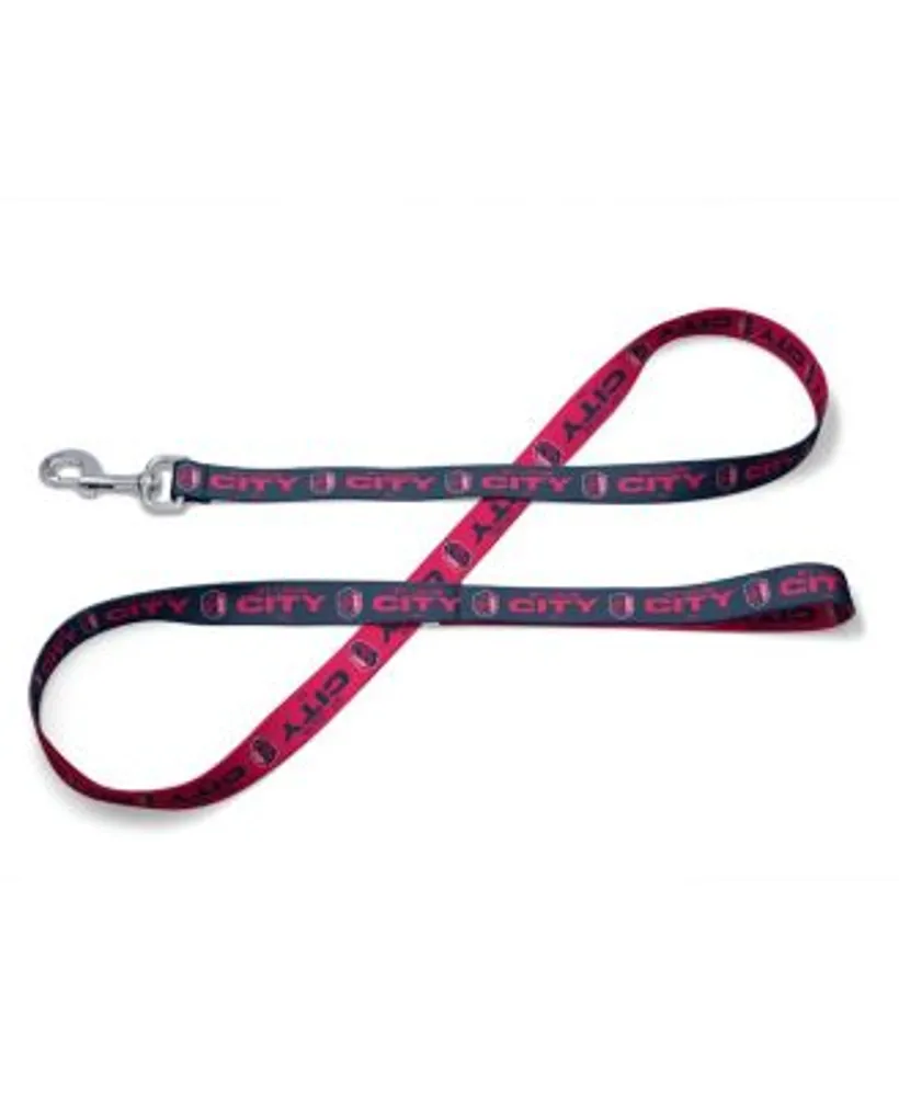 St Louis Cardinals Dog Collar Large