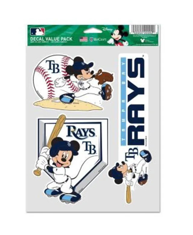 Pin on Tampa Bay Rays