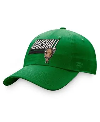 UNC Charlotte 49ers Nike True AeroBill Performance Fitted Hat - Green